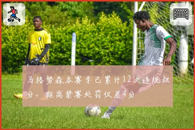 马格努森本赛季已累计12次违规积分，距离禁赛处罚仅差4分